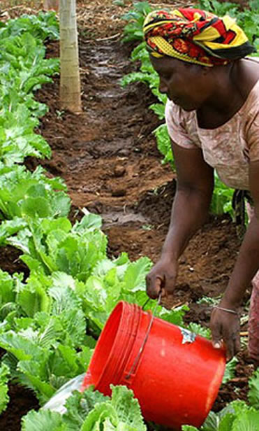 LEC community climate resilience program