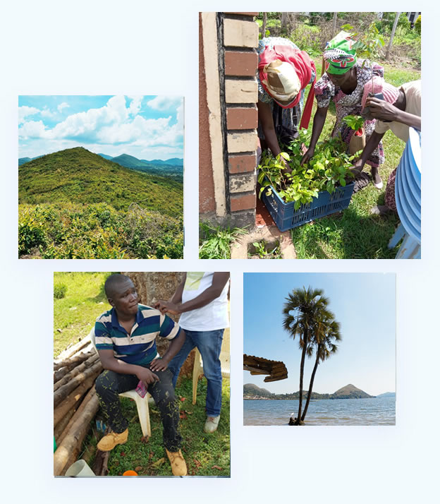 LEC community organization climate resilience program